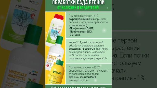 Первые и очень важные обработки сада весной! Не пропустите и будете с урожаем! Сохраняйте в закладки Первые и очень важные обработки сада весной! Не пропустите и будете с урожаем! Сохраняйте в закладки