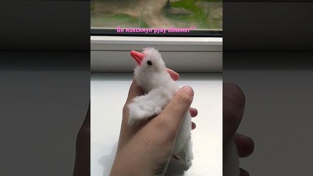 самодельный крохотный гусь обнимусь самодельный крохотный гусь обнимусь