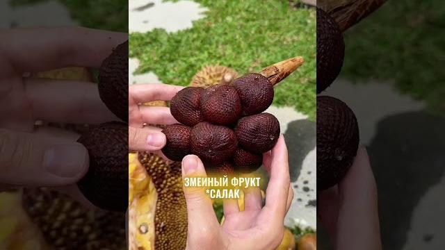 7 фруктов на Бали! 7 фруктов на Бали!