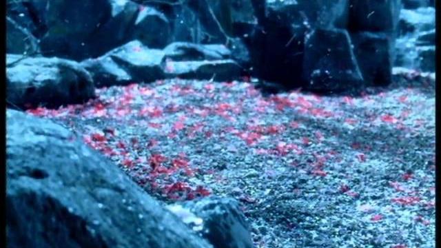 София Ротару - Вишнёвый сад (2004) София Ротару - Вишнёвый сад (2004)