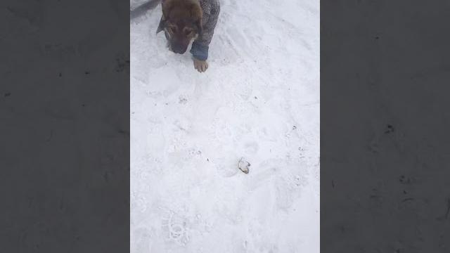 Сельские приколы Сельские приколы