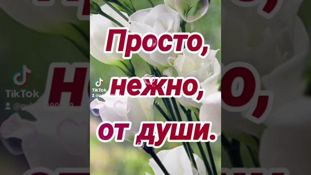 День женского счастья День женского счастья