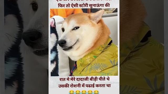 #funny #video #funny #video