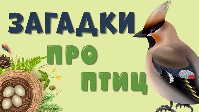 ЗАГАДКИ про ПТИЦ для детей. ЗАГАДКИ про ПТИЦ для детей.