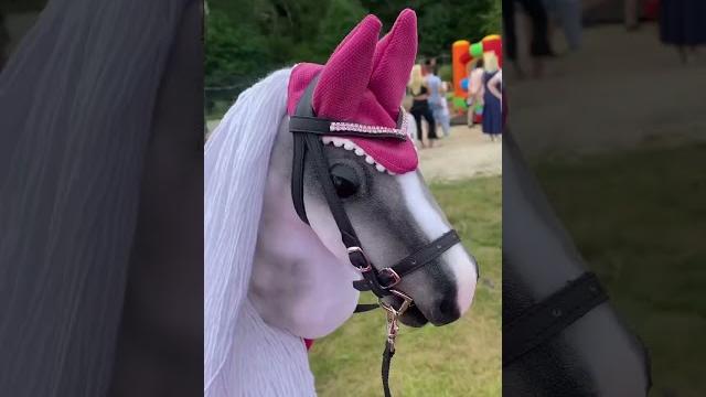 ПРО ФЕСТИВАЛЬ ИВАНОВО ПОЛЕ ️ #хоббихорс #horse #лошади #рекомендации #хоббихорсинг #влог ПРО ФЕСТИВАЛЬ ИВАНОВО ПОЛЕ ️ #хоббихорс #horse #лошади #рекомендации #хоббихорсинг #влог