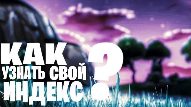 Как узнать свой индекс Как узнать свой индекс
