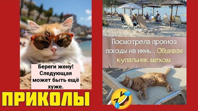 посмотрела прогноз погоды- обшиваю купальник мехом! смотри смешные картинки мемы котики приколы посмотрела прогноз погоды- обшиваю купальник мехом! смотри смешные картинки мемы котики приколы