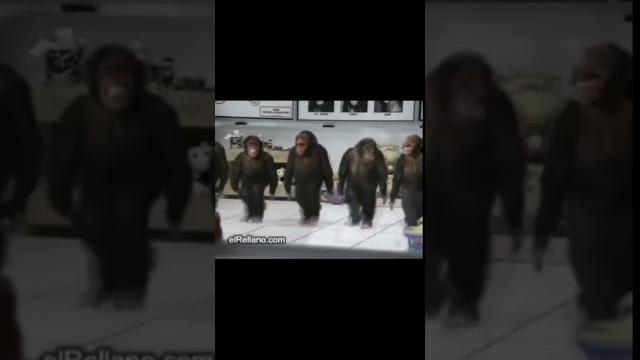 обезьяны танцуют и поют у уу у уу уу обезьяны танцуют и поют у уу у уу уу