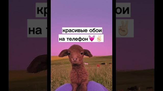 Красивые обои на телефон хотите ещё? Красивые обои на телефон хотите ещё?