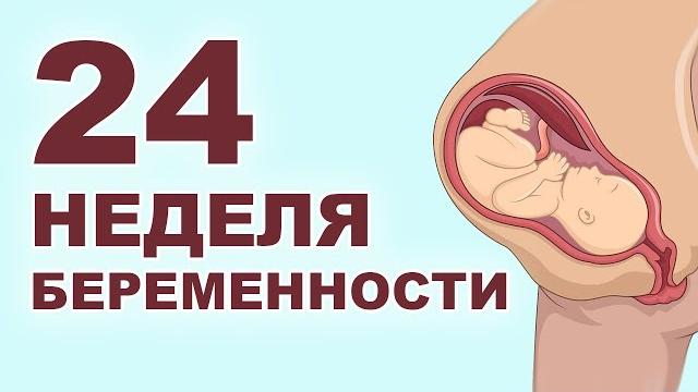 Что происходит с мамой и ребенком на 24 неделе беременности? 6 месяц беременности. Второй триместр. Что происходит с мамой и ребенком на 24 неделе беременности? 6 месяц беременности. Второй триместр.