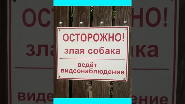 Смешные объявления. ОСТОРОЖНО! ЁЖИКИ !! Смешные объявления. ОСТОРОЖНО! ЁЖИКИ !!