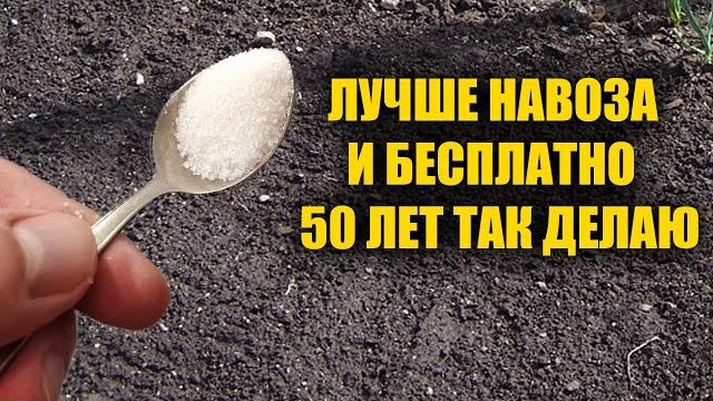 1 Ложка на Ведро Воды и Земля Как Новая! Пролейте этим землю для обильного урожая всего! 1 Ложка на Ведро Воды и Земля Как Новая! Пролейте этим землю для обильного урожая всего!