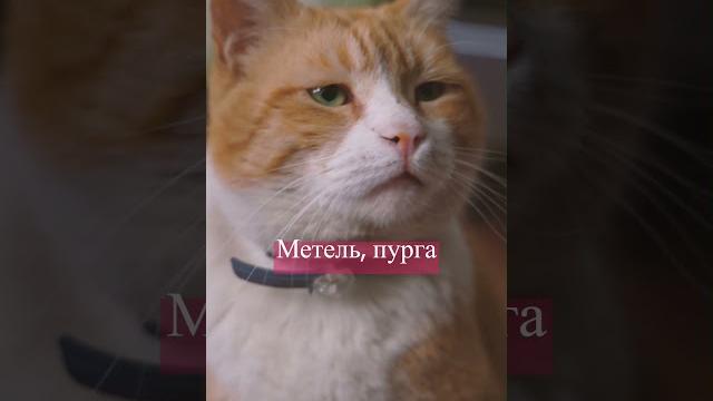 Смешной анекдот про Рыбалку short #shorts Смешной анекдот про Рыбалку short #shorts