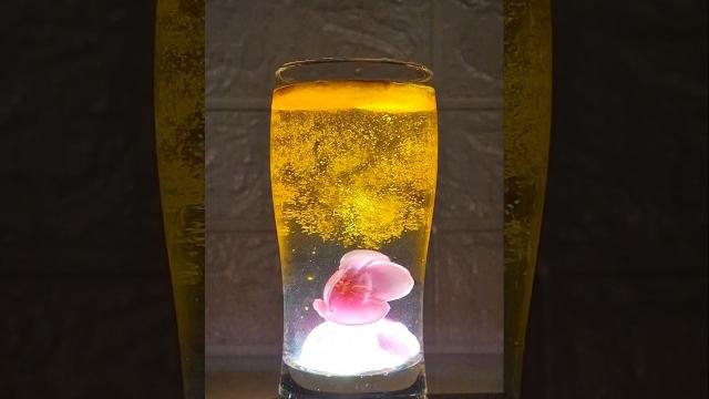 Water Glass Magic with Turmeric – Shocking Science Trick!#shorts #waterglass #water #glass #trending Water Glass Magic with Turmeric – Shocking Science Trick!#shorts #waterglass #water #glass #trending