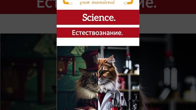 Спотлайт 3 класс Урок 2а Школьные предметы English, Maths, Science, PE, Art, Music, History Спотлайт 3 класс Урок 2а Школьные предметы English, Maths, Science, PE, Art, Music, History