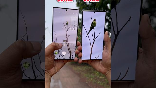 Samsung S22 Ultra vs Samsung S24 Ultra Zoom Test #samsung #s22ultra #s24ultra #comparison #shorts Samsung S22 Ultra vs Samsung S24 Ultra Zoom Test #samsung #s22ultra #s24ultra #comparison #shorts
