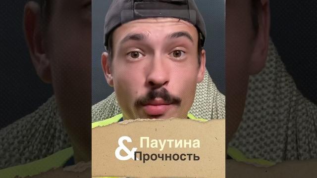 Самая прочная паутина в мире - природная броня. #ПрочнаяПаутина #ПрироднаяБроня #НаучныеИнновации Самая прочная паутина в мире - природная броня. #ПрочнаяПаутина #ПрироднаяБроня #НаучныеИнновации