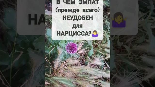 ЭМПАТ НЕУДОБЕН ДЛЯ НАРЦИССА #эмпат #нарцисс #психопат #абьюз #абьюзивныеотношения #нрл #психология ЭМПАТ НЕУДОБЕН ДЛЯ НАРЦИССА #эмпат #нарцисс #психопат #абьюз #абьюзивныеотношения #нрл #психология
