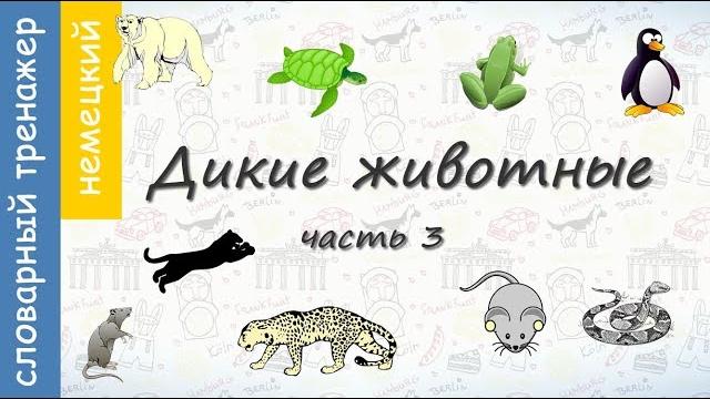 Животные на немецком. Дикие Животные. Часть 3 Животные на немецком. Дикие Животные. Часть 3