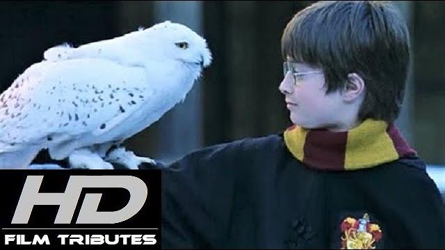Harry Potter • Main Theme • John Williams Harry Potter • Main Theme • John Williams