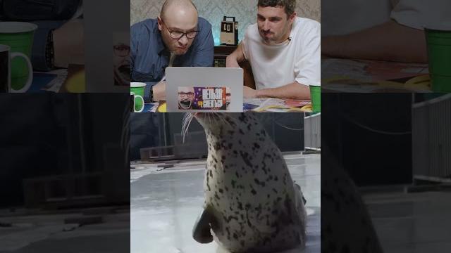 Нельзя смеяться | Смех с водой | Часть 20 #shorts #спорт #юмор Нельзя смеяться | Смех с водой | Часть 20 #shorts #спорт #юмор