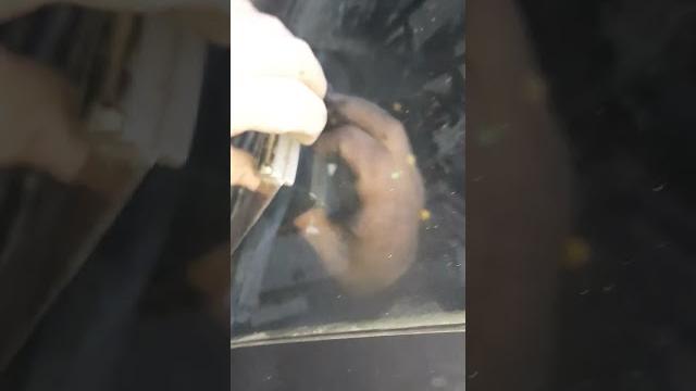 как открыть дверь солярис 1 как открыть дверь солярис 1