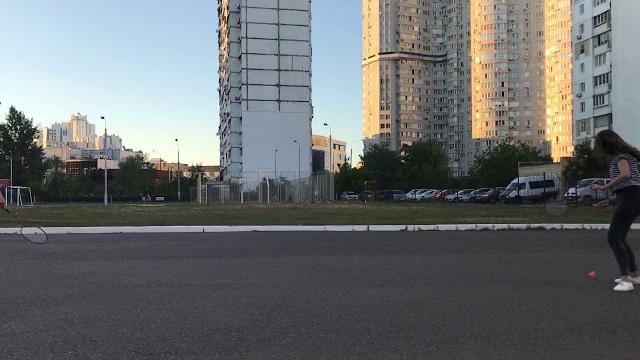 Профессиональная игра в бадминтон Профессиональная игра в бадминтон
