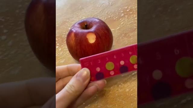 Кто это сделал? смешные видео с попугаем #волнистыйпопугай #попугаи #попугай #попугайчик Кто это сделал? смешные видео с попугаем #волнистыйпопугай #попугаи #попугай #попугайчик
