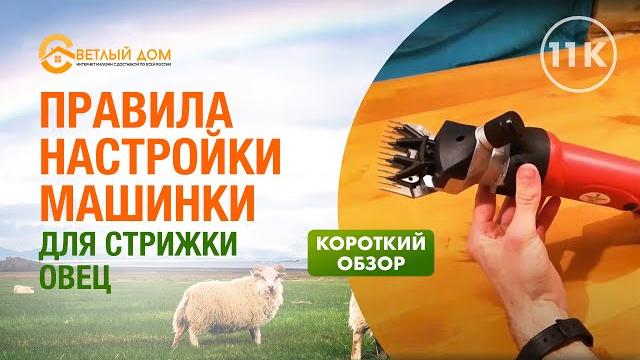 11к Настройка машинки для стрижки овец. Инструкция по использованию. Машинка для стрижки овец Linger 11к Настройка машинки для стрижки овец. Инструкция по использованию. Машинка для стрижки овец Linger