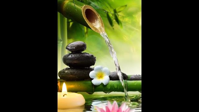 Relaxing Music Bamboo Water Fountain Meditation Music Sleep Music Piano Music Stress Relief Music Relaxing Music Bamboo Water Fountain Meditation Music Sleep Music Piano Music Stress Relief Music