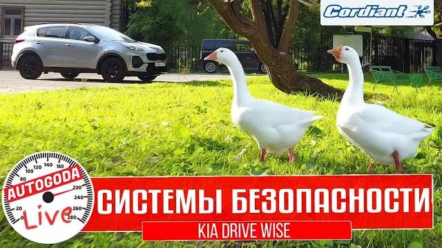 Обзор систем безопасности автомобиля Kia Sportage Обзор систем безопасности автомобиля Kia Sportage