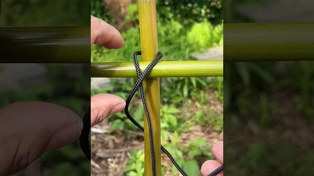 Genius Knot Genius Knot