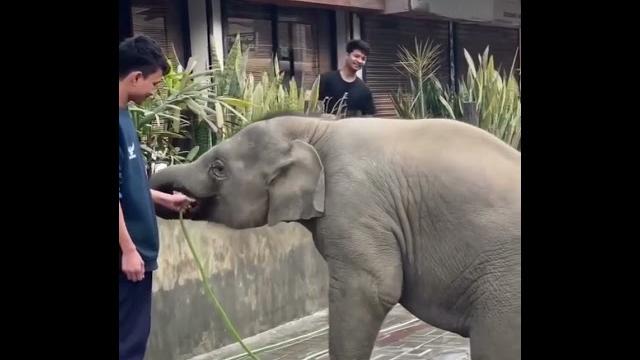 Путешествуем c Владимиром Волошиным TRAVEL video Путешествуем c Владимиром Волошиным TRAVEL video