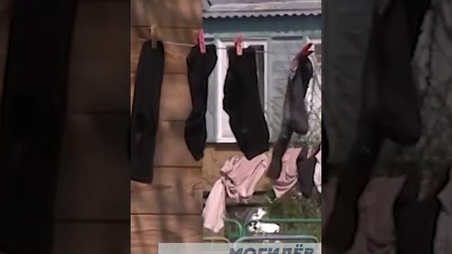 Пенсионеров отказываются возить в Могилёве / Новости регионов Беларуси / Маланка #shorts Пенсионеров отказываются возить в Могилёве / Новости регионов Беларуси / Маланка #shorts