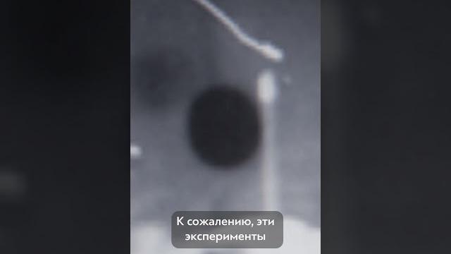 Чёрная шаровая молния Чёрная шаровая молния