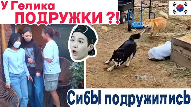 Между домом и дачей в Южной Корее / KOREA VLOG / Между домом и дачей в Южной Корее / KOREA VLOG /