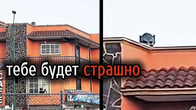 Самые Ужасные Видео со Всего Мира #32 Самые Ужасные Видео со Всего Мира #32