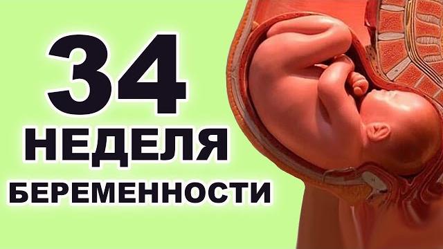 Что происходит с ребенком и мамой на 34 неделе беременности? 8 месяц беременности. Третий триместр. Что происходит с ребенком и мамой на 34 неделе беременности? 8 месяц беременности. Третий триместр.