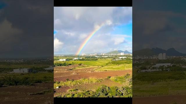#shorts #video #travel #trending #fyp #viralvideo #viralshorts #love #cute #nature #rainbow #fy #shorts #video #travel #trending #fyp #viralvideo #viralshorts #love #cute #nature #rainbow #fy