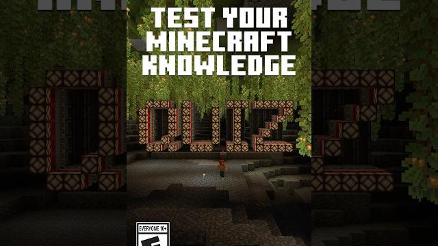 MINECRAFT PRO? MINECRAFT PRO?