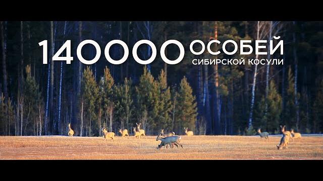 Охотничий туризм в Курганской области! Охотничий туризм в Курганской области!