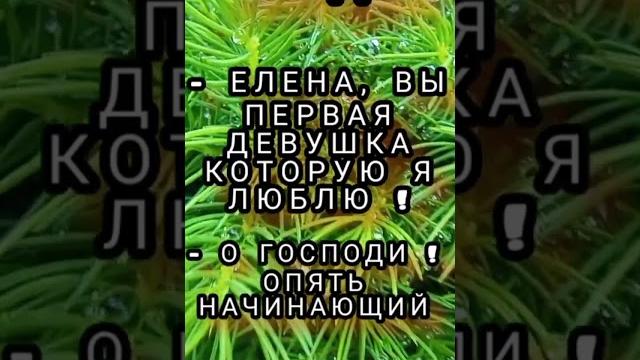 анекдот про начинающих, смешные анекдоты #137, анекдот, шутки, юмор, приколы, лучшие анекдоты, юмор анекдот про начинающих, смешные анекдоты #137, анекдот, шутки, юмор, приколы, лучшие анекдоты, юмор