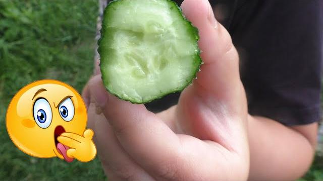 Причина горьких огурцов и что делать Причина горьких огурцов и что делать