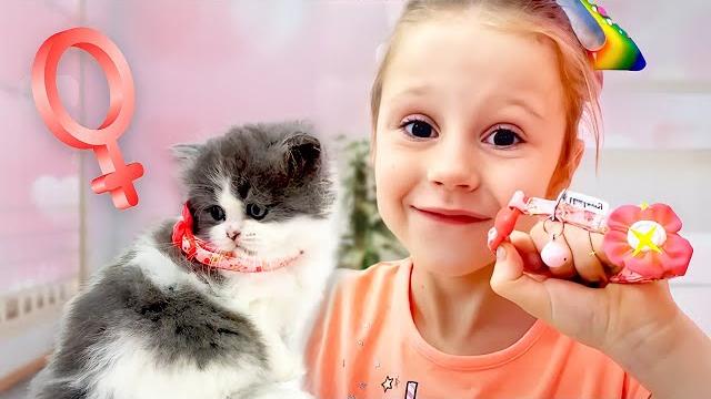 Лайк Настя, Папа и друзья! Сборник лучших видео для детей Лайк Настя, Папа и друзья! Сборник лучших видео для детей