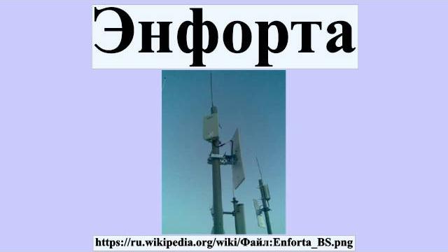 Энфорта Энфорта
