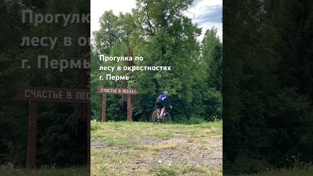 На велосипеде по лесу | Звуки природы | Мини-видео блог #2 | #велосипед #biketravel #cycling На велосипеде по лесу | Звуки природы | Мини-видео блог #2 | #велосипед #biketravel #cycling