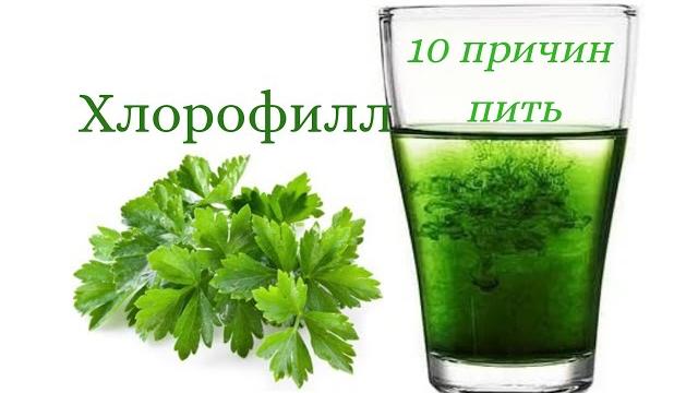 Хлорофилл. Для чего? Хлорофилл. Для чего?