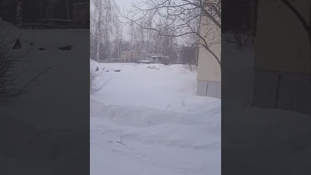 циклон Ольга циклон Ольга