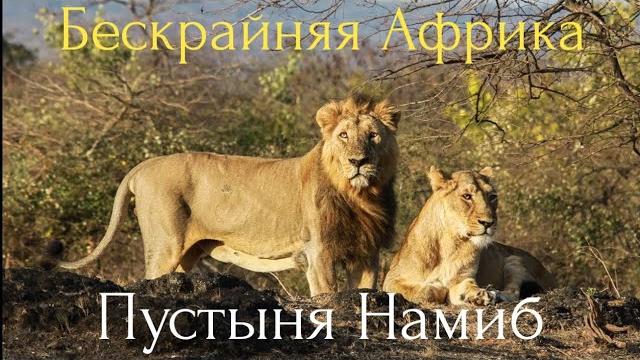 Бескрайняя Африка.Пустыня Намиб. Бескрайняя Африка.Пустыня Намиб.