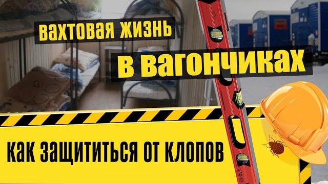 Как избавиться от клопов в бытовках-вагончиках? Как избавиться от клопов в бытовках-вагончиках?